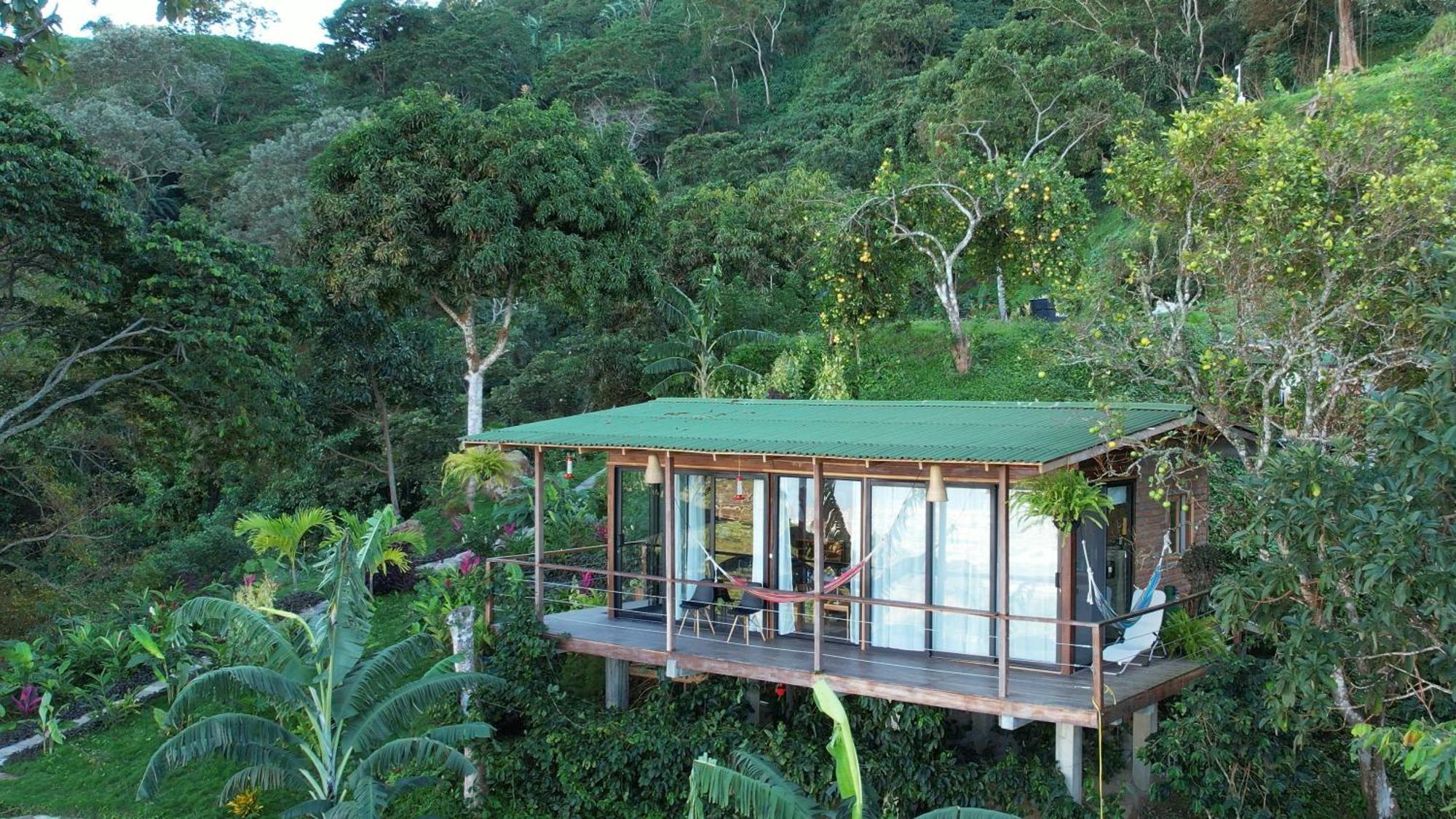 Minca Sintropia - Sustainable Lodge & Organic Coffee Finca Exteriér fotografie