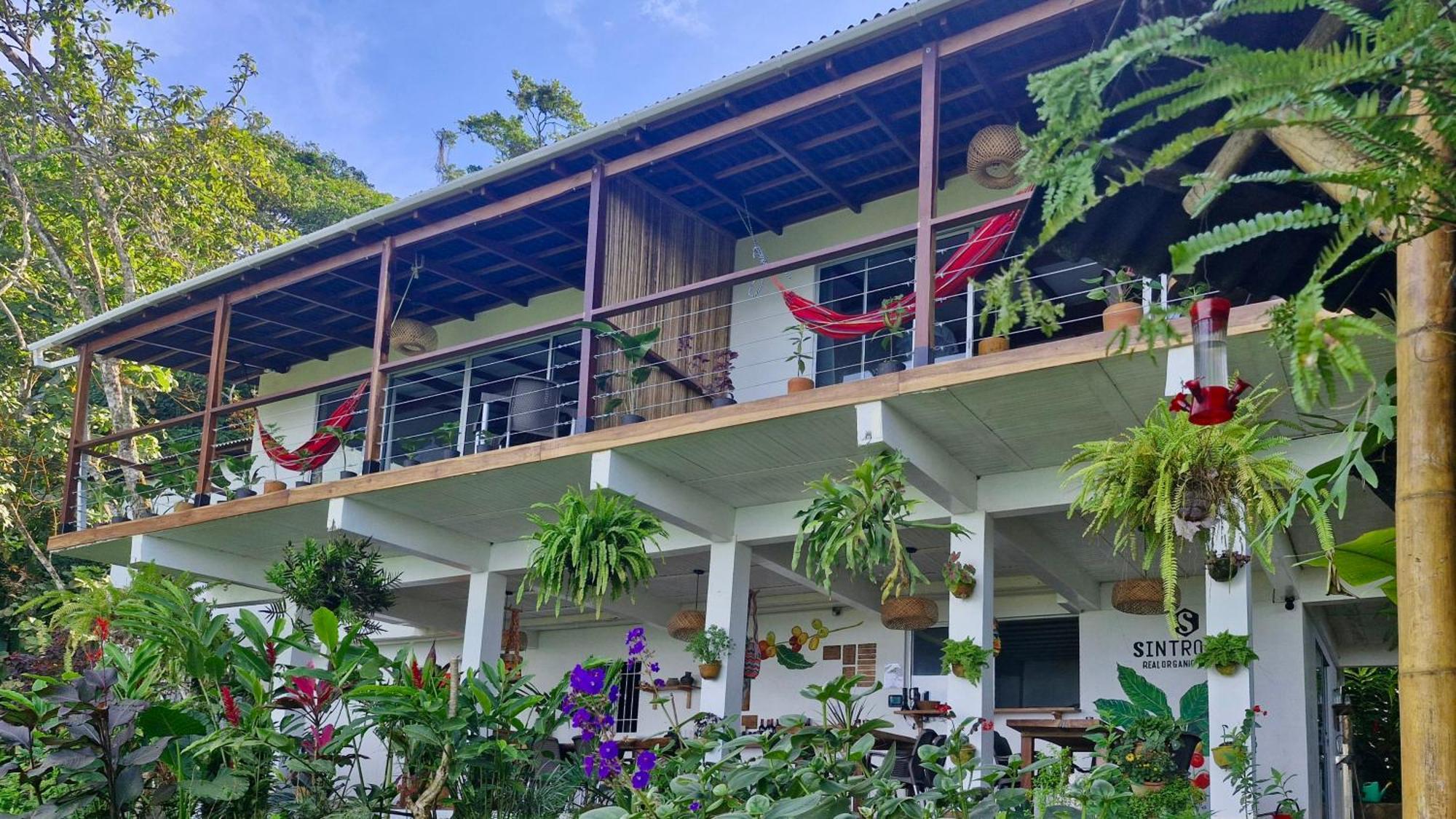 Minca Sintropia - Sustainable Lodge & Organic Coffee Finca Pokoj fotografie